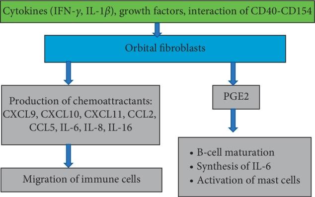 https://cdn.ncbi.nlm.nih.gov/pmc/blobs/72ba/6875285/4a9131545415/BMRI2019-7453260.004.jpg