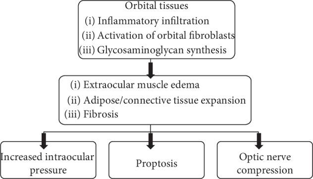 https://cdn.ncbi.nlm.nih.gov/pmc/blobs/72ba/6875285/e4ff37a94857/BMRI2019-7453260.002.jpg