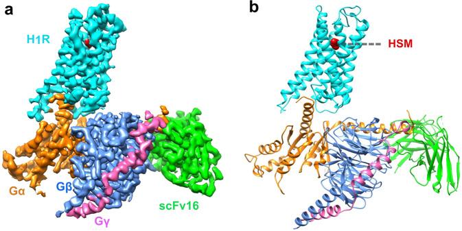 https://cdn.ncbi.nlm.nih.gov/pmc/blobs/72ba/8027608/60f1b8680d51/41467_2021_22427_Fig1_HTML.jpg