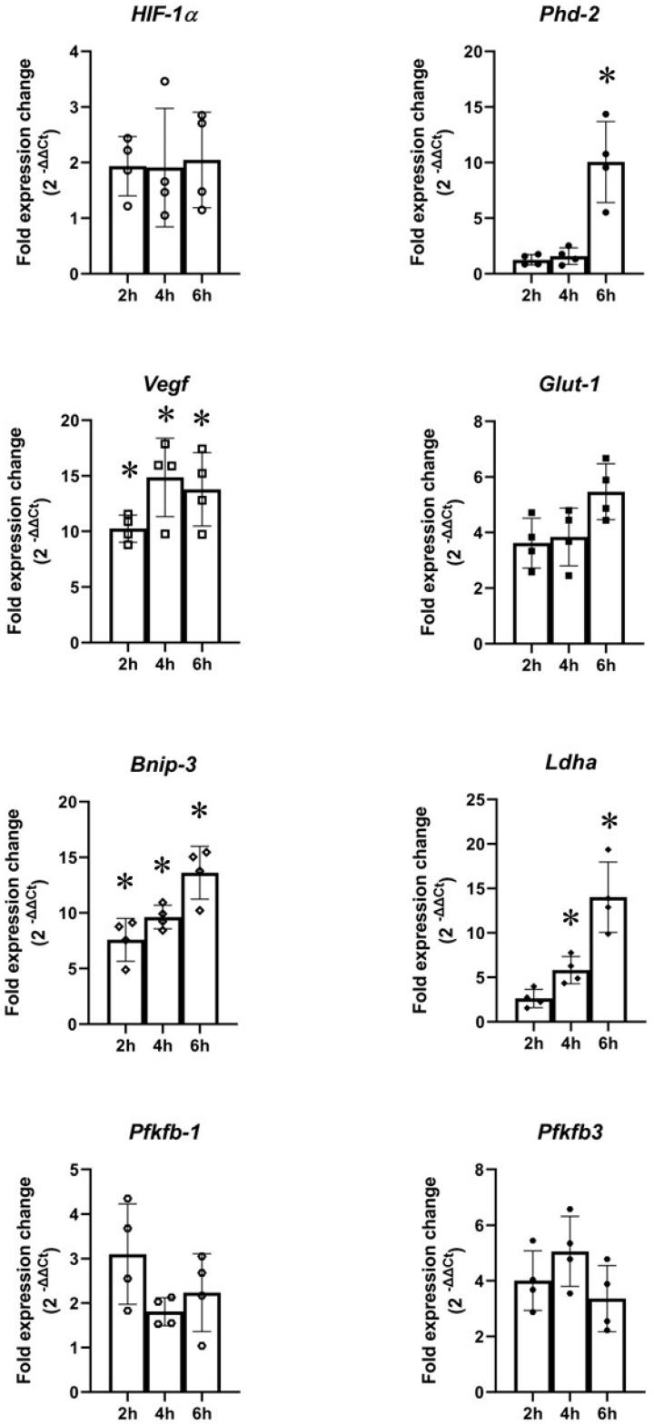 https://cdn.ncbi.nlm.nih.gov/pmc/blobs/72bb/10138834/c7184088fbe6/ijms-24-07106-g010.jpg
