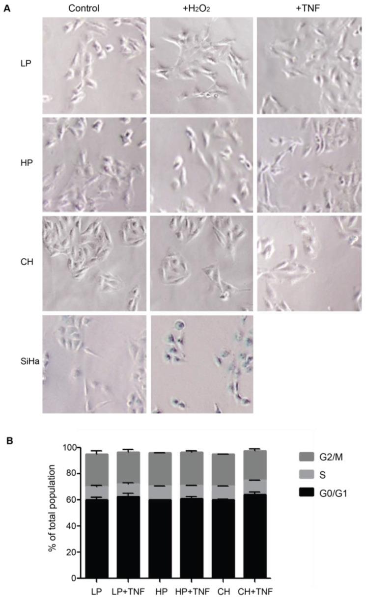 https://cdn.ncbi.nlm.nih.gov/pmc/blobs/72bb/11394751/d1f8c31ca374/ijms-25-09454-g003.jpg