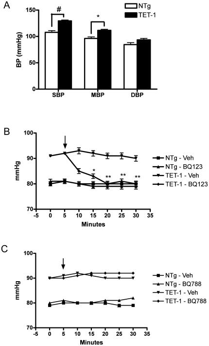 https://cdn.ncbi.nlm.nih.gov/pmc/blobs/72bb/3214015/400f4b6b67dd/pone.0026994.g002.jpg