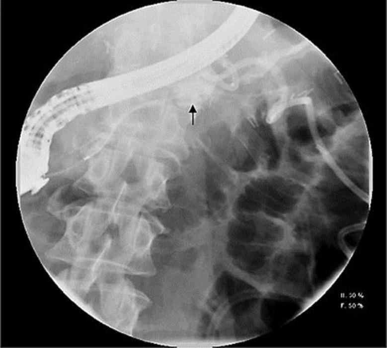 https://cdn.ncbi.nlm.nih.gov/pmc/blobs/72bc/3764947/695801ec0411/crg-0007-0332-g01.jpg