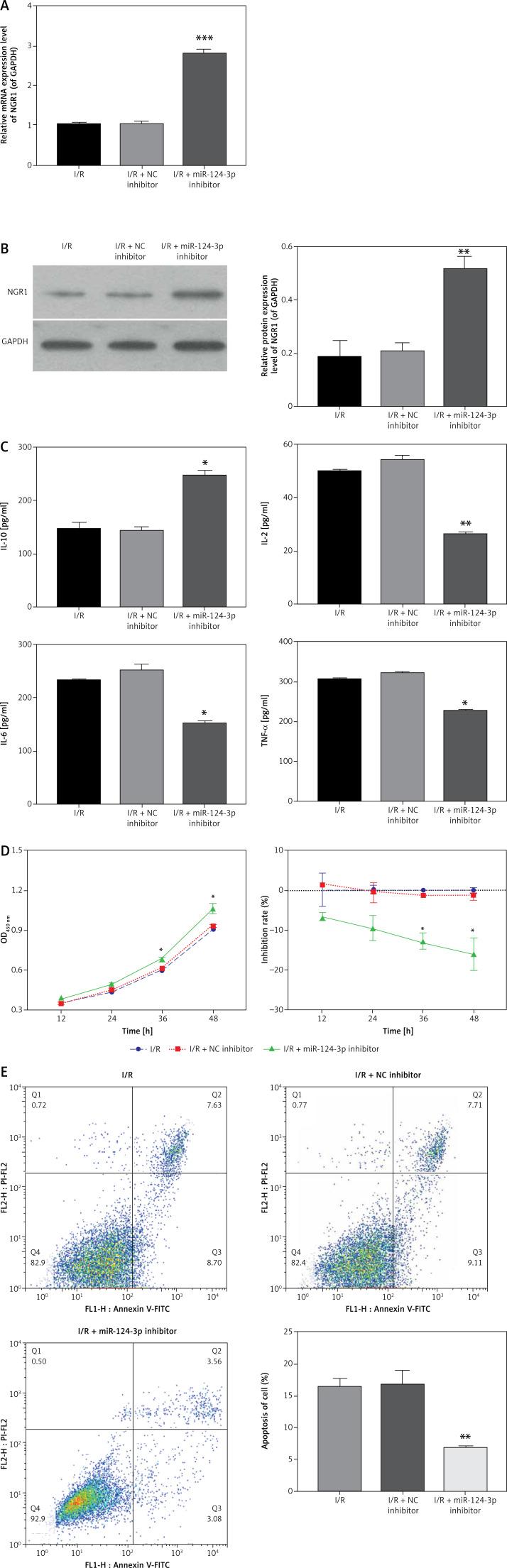 https://cdn.ncbi.nlm.nih.gov/pmc/blobs/72bd/9102556/47b3f4bf3bdf/AMS-18-3-109684-g005.jpg