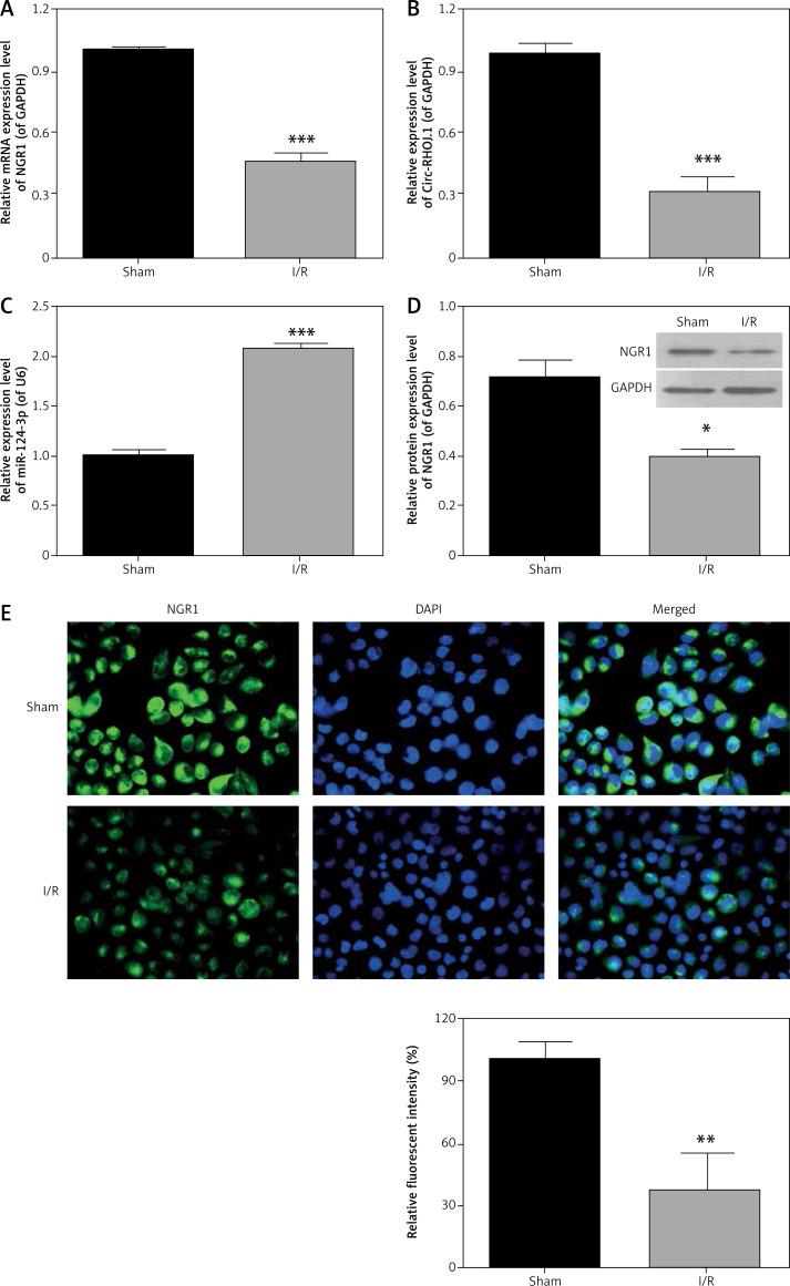 https://cdn.ncbi.nlm.nih.gov/pmc/blobs/72bd/9102556/bf1cbc5bf374/AMS-18-3-109684-g002.jpg