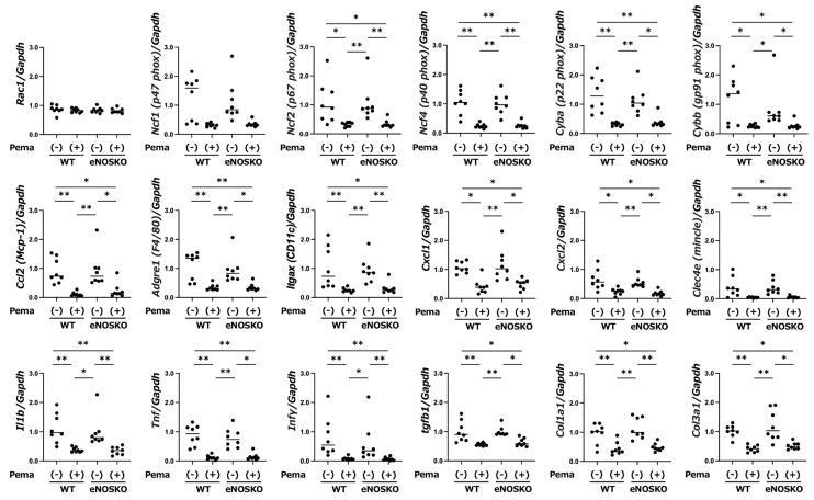 https://cdn.ncbi.nlm.nih.gov/pmc/blobs/72bf/12292507/5f0807d7394c/antioxidants-14-00891-g003.jpg