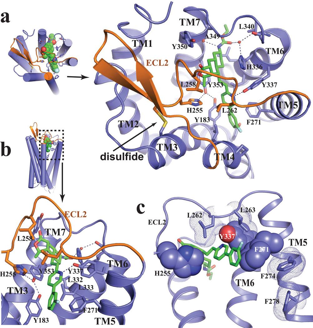 https://cdn.ncbi.nlm.nih.gov/pmc/blobs/72bf/3531875/2ad50ca7b2ee/nihms416873f2.jpg