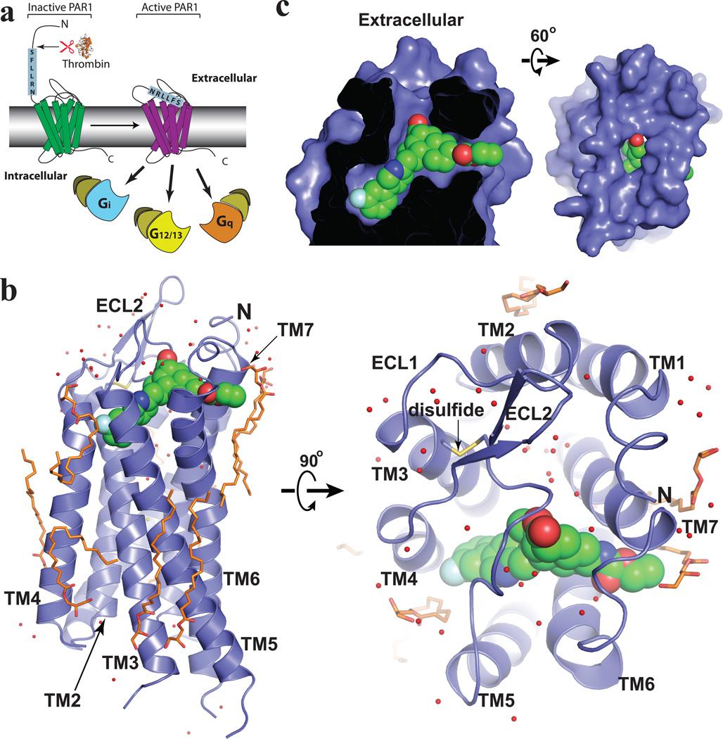 https://cdn.ncbi.nlm.nih.gov/pmc/blobs/72bf/3531875/6bb559f36583/nihms416873f1.jpg