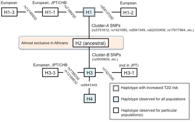https://cdn.ncbi.nlm.nih.gov/pmc/blobs/72c4/4076329/b3919573ff2e/pone.0101329.g002.jpg