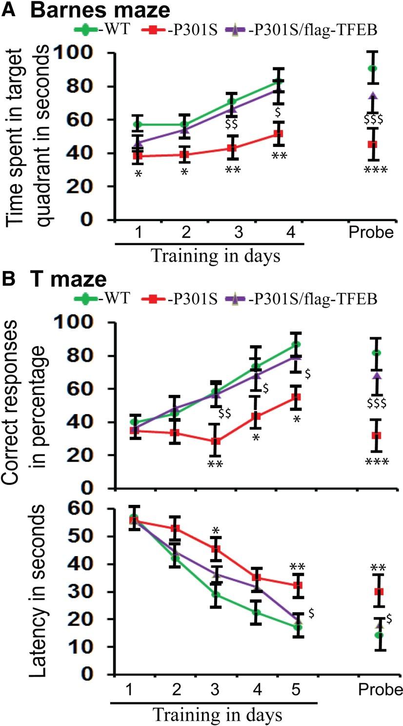https://cdn.ncbi.nlm.nih.gov/pmc/blobs/72c4/4876487/9f4fbdfd5980/enu0031620610009.jpg