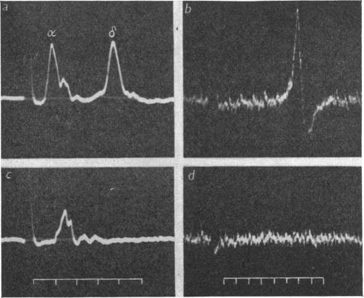 https://cdn.ncbi.nlm.nih.gov/pmc/blobs/72c5/1363452/ae436313994d/jphysiol01386-0083-a.jpg
