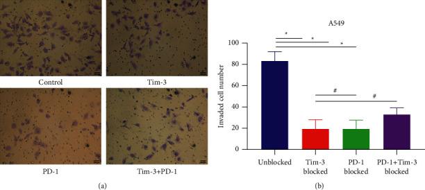https://cdn.ncbi.nlm.nih.gov/pmc/blobs/72c6/9357700/bf116f799ad7/ECAM2022-4097576.005.jpg