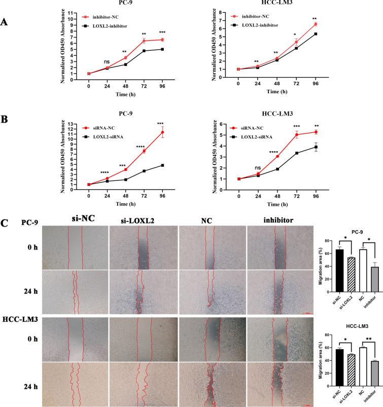 https://cdn.ncbi.nlm.nih.gov/pmc/blobs/72c8/11208360/0cd68d217168/12672_2024_1107_Fig6_HTML.jpg