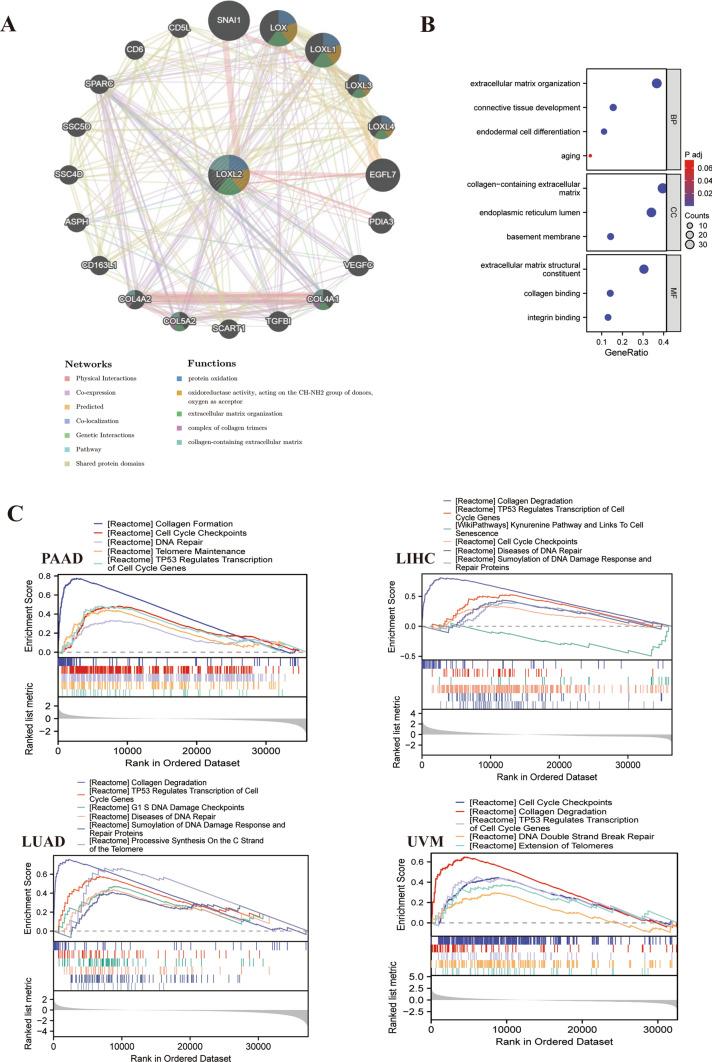 https://cdn.ncbi.nlm.nih.gov/pmc/blobs/72c8/11208360/d6ca95320426/12672_2024_1107_Fig5_HTML.jpg