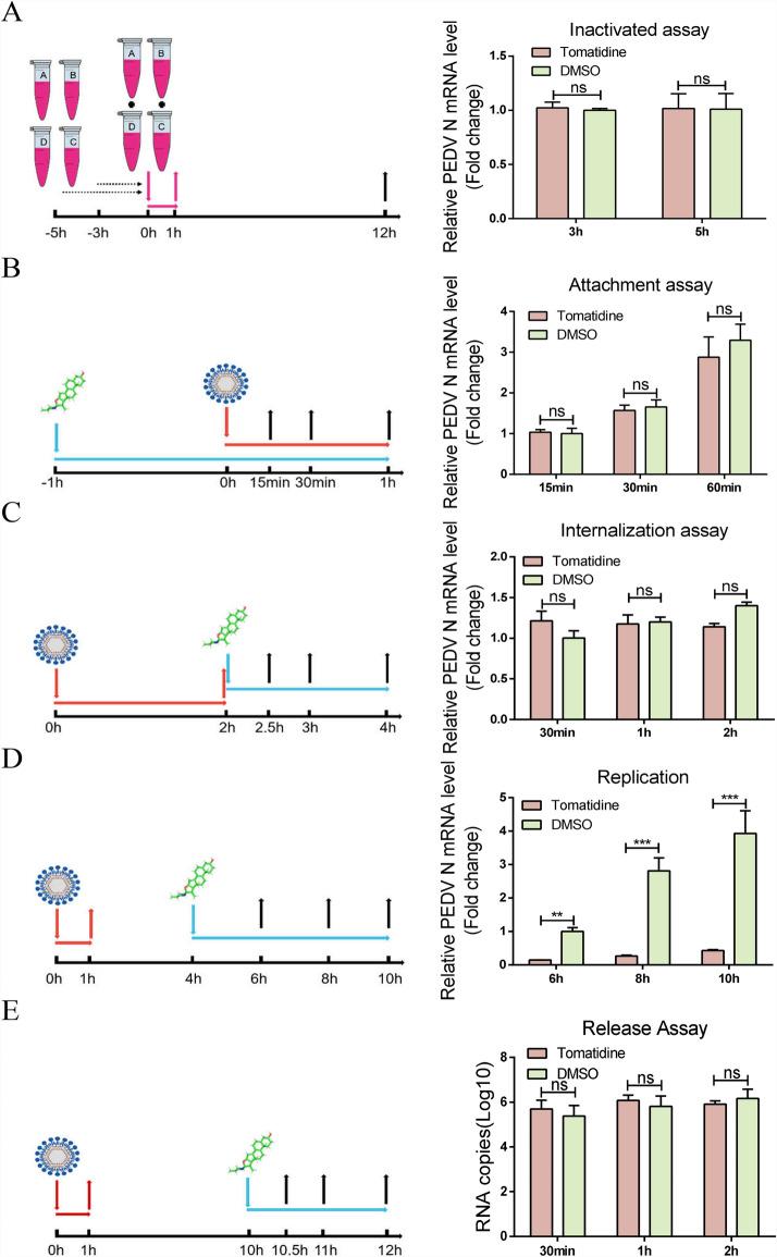 https://cdn.ncbi.nlm.nih.gov/pmc/blobs/72c8/7656696/164abf898dff/13567_2020_865_Fig3_HTML.jpg