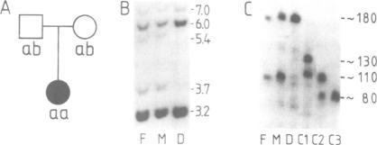 https://cdn.ncbi.nlm.nih.gov/pmc/blobs/72c9/400966/7c6ae700ea04/emboj00129-0111-b.jpg