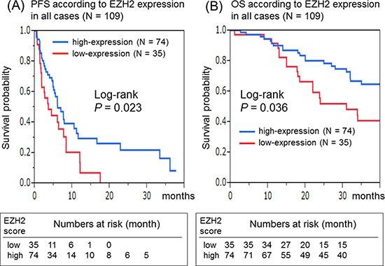 https://cdn.ncbi.nlm.nih.gov/pmc/blobs/72c9/5392288/b1051460e15c/oncotarget-08-17810-g001.jpg