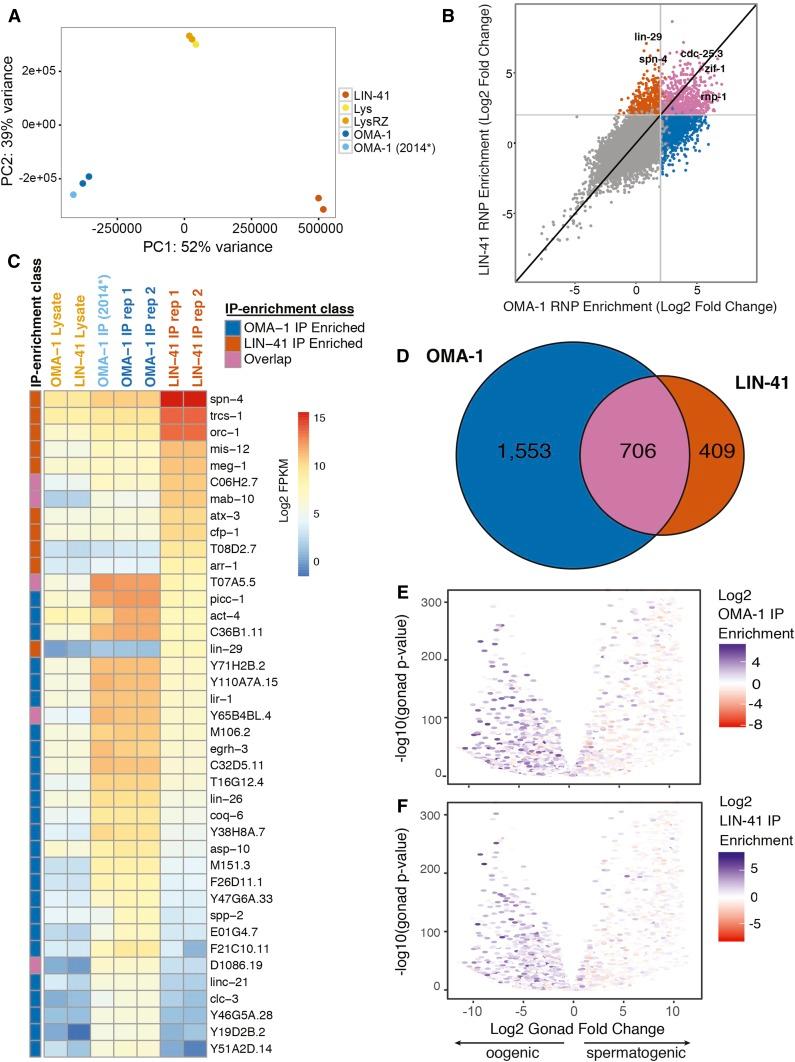 https://cdn.ncbi.nlm.nih.gov/pmc/blobs/72c9/5560804/55d20dc641f3/2007fig4.jpg