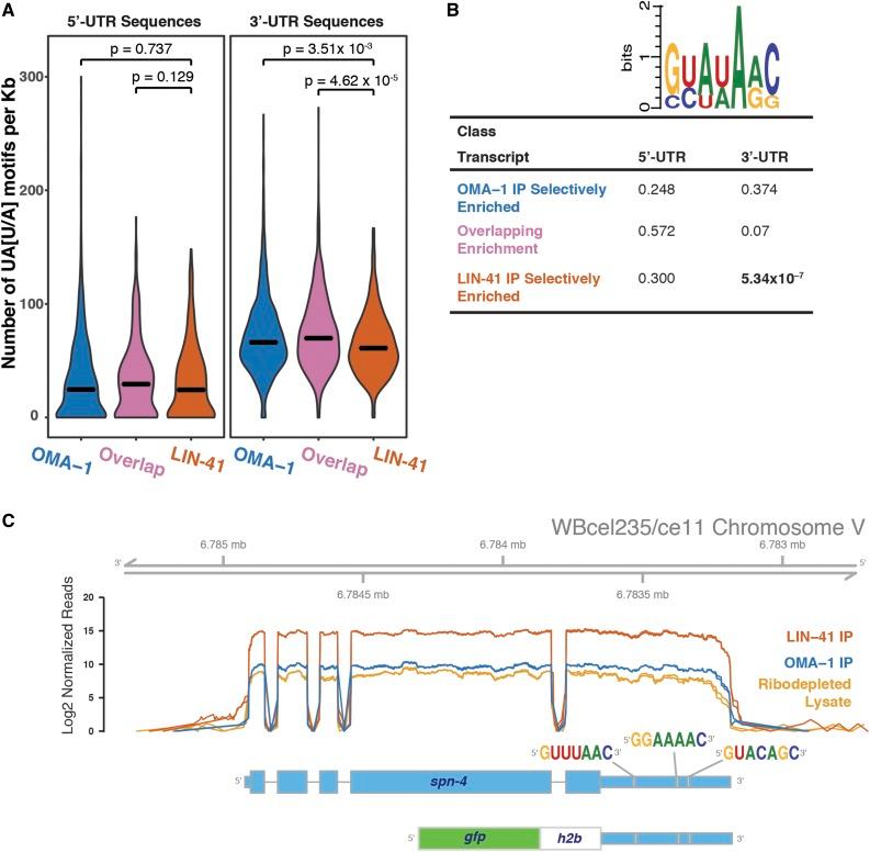 https://cdn.ncbi.nlm.nih.gov/pmc/blobs/72c9/5560804/e0e6cad29c6a/2007fig5.jpg