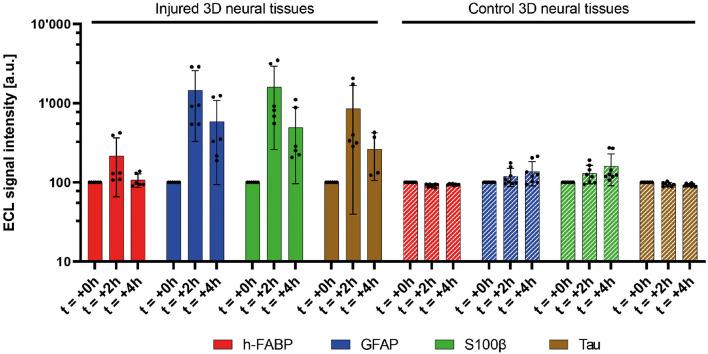 https://cdn.ncbi.nlm.nih.gov/pmc/blobs/72ca/10308006/060b82b991a1/fnins-17-1189615-g0004.jpg