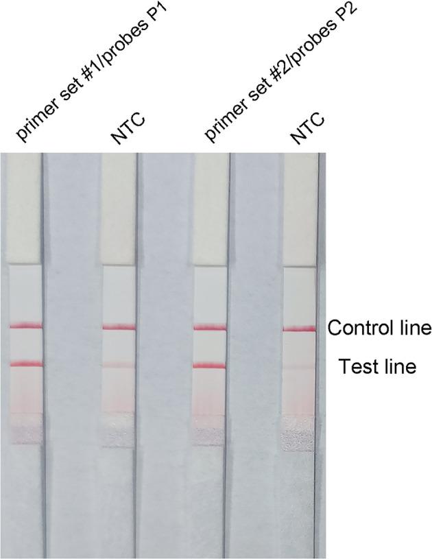 https://cdn.ncbi.nlm.nih.gov/pmc/blobs/72ca/9174636/aa4bcce439b1/fcimb-12-895261-g003.jpg