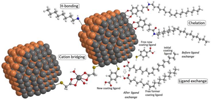 https://cdn.ncbi.nlm.nih.gov/pmc/blobs/72ca/9318497/7f6f7fe6b3fd/nanomaterials-12-02501-g003.jpg