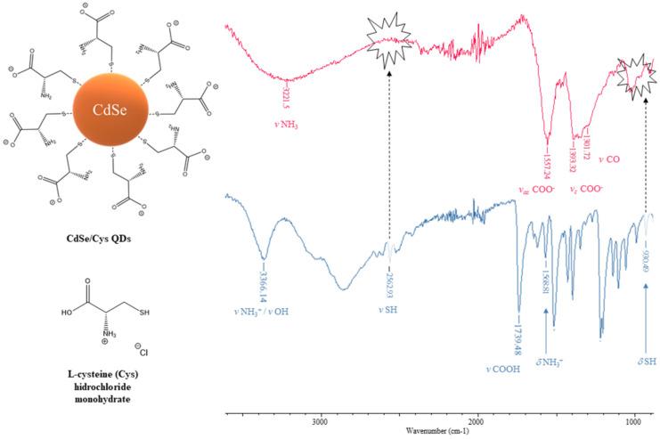 https://cdn.ncbi.nlm.nih.gov/pmc/blobs/72ca/9318497/f3851ab37b19/nanomaterials-12-02501-g005.jpg