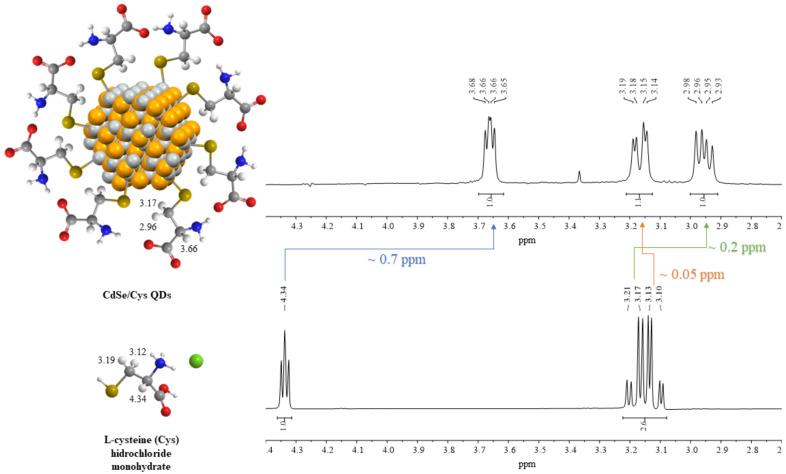 https://cdn.ncbi.nlm.nih.gov/pmc/blobs/72ca/9318497/febf2c2f9da2/nanomaterials-12-02501-g004.jpg