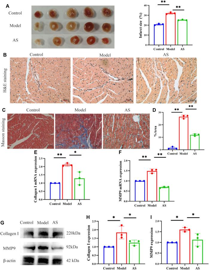 https://cdn.ncbi.nlm.nih.gov/pmc/blobs/72ca/9868545/1e8882660bf8/fphar-13-1103557-g002.jpg
