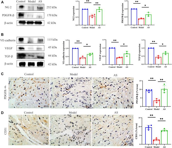 https://cdn.ncbi.nlm.nih.gov/pmc/blobs/72ca/9868545/9d836c163b5c/fphar-13-1103557-g003.jpg