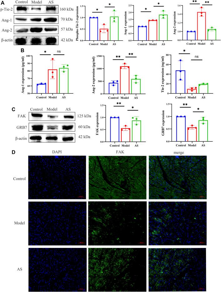 https://cdn.ncbi.nlm.nih.gov/pmc/blobs/72ca/9868545/9ff598677f7f/fphar-13-1103557-g004.jpg