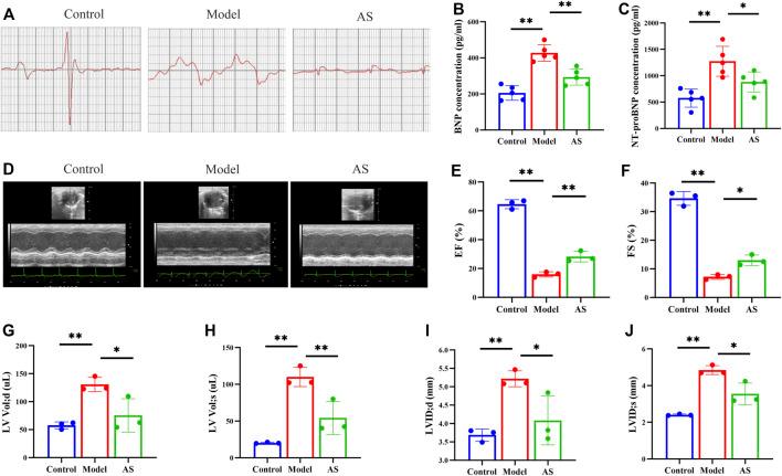 https://cdn.ncbi.nlm.nih.gov/pmc/blobs/72ca/9868545/d62a905f698e/fphar-13-1103557-g001.jpg
