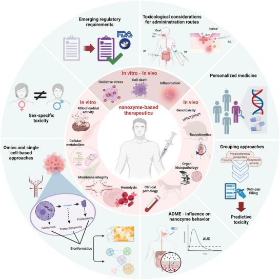 https://cdn.ncbi.nlm.nih.gov/pmc/blobs/72cb/11633477/a34155d14ea0/ADVS-11-2407816-g002.jpg