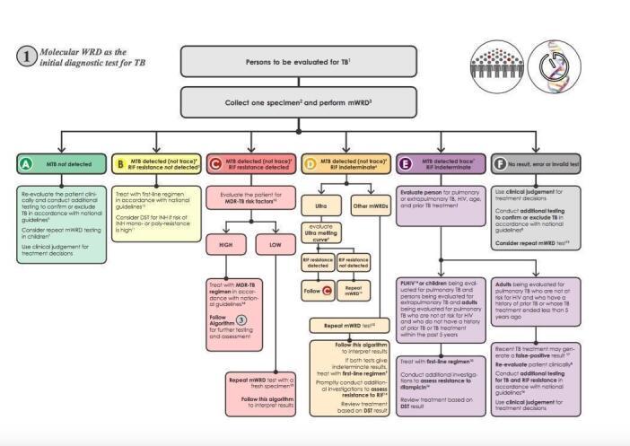 https://cdn.ncbi.nlm.nih.gov/pmc/blobs/72cb/12305759/9df8d1414939/nCD009593-FIG-01.jpg