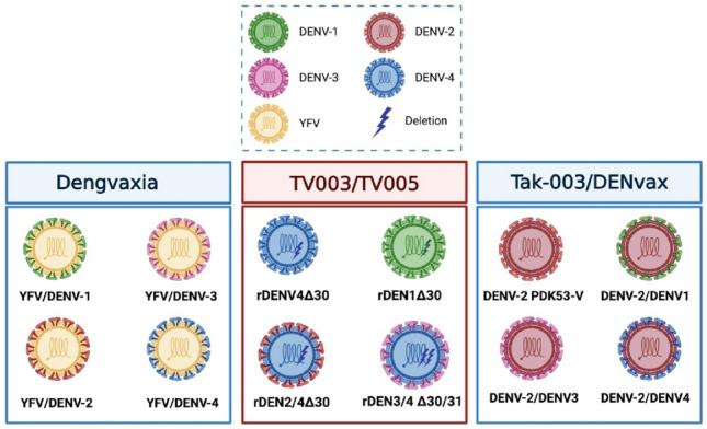 https://cdn.ncbi.nlm.nih.gov/pmc/blobs/72cb/9148870/9cb598edba64/40259_2022_531_Fig1_HTML.jpg