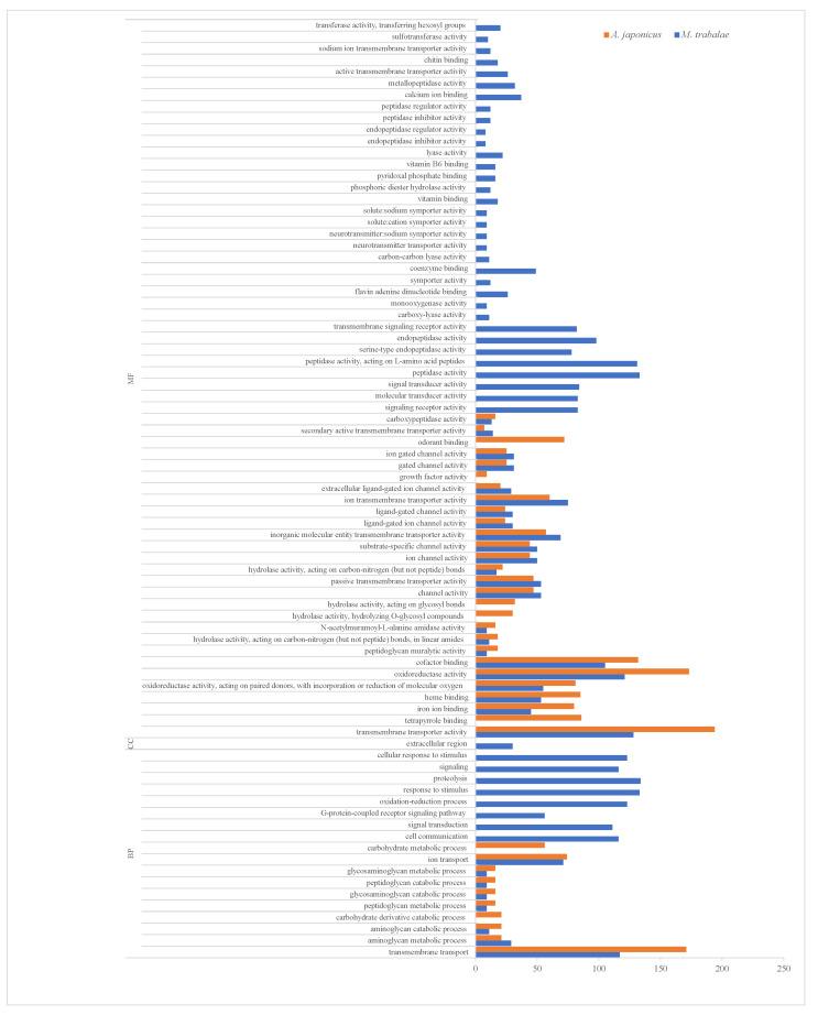 https://cdn.ncbi.nlm.nih.gov/pmc/blobs/72cc/10215183/5721367ad55c/biology-12-00700-g003.jpg