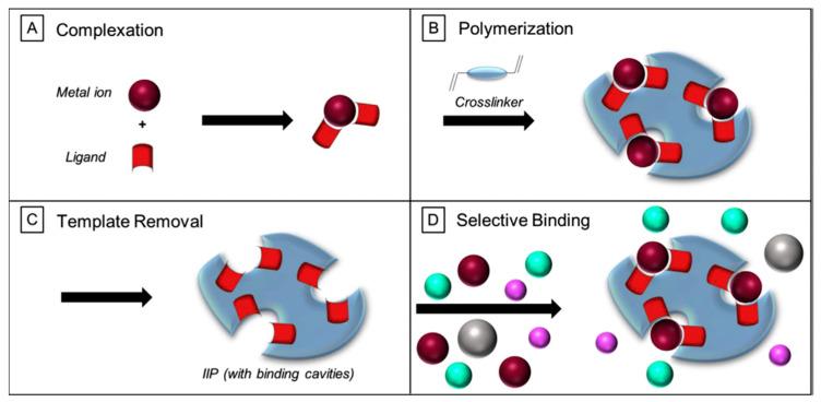 https://cdn.ncbi.nlm.nih.gov/pmc/blobs/72cc/9775266/0348ab752077/biosensors-12-01096-g001.jpg