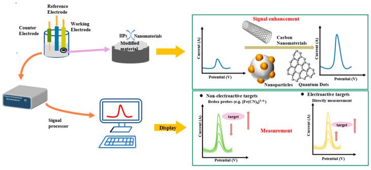 https://cdn.ncbi.nlm.nih.gov/pmc/blobs/72cc/9775266/ed7ad0c6ca3a/biosensors-12-01096-g002.jpg