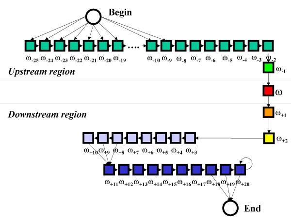 https://cdn.ncbi.nlm.nih.gov/pmc/blobs/72cd/2571997/0e24f85f1d43/1471-2105-9-392-1.jpg