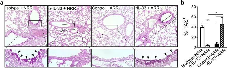 https://cdn.ncbi.nlm.nih.gov/pmc/blobs/72ce/4608776/3fd516f487f0/ppat.1005217.g005.jpg