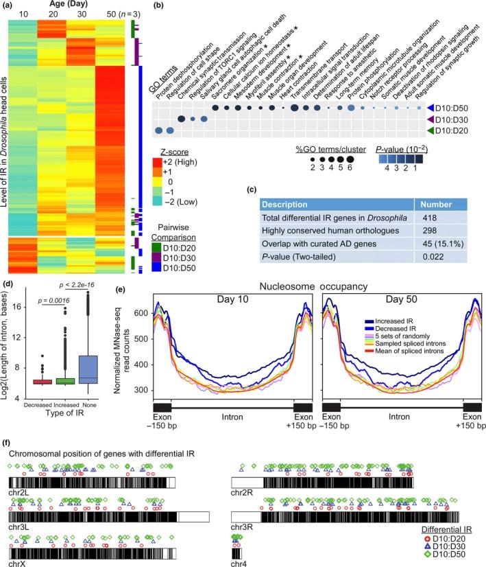 https://cdn.ncbi.nlm.nih.gov/pmc/blobs/72cf/6516162/1b5d9f8aab68/ACEL-18-e12928-g001.jpg