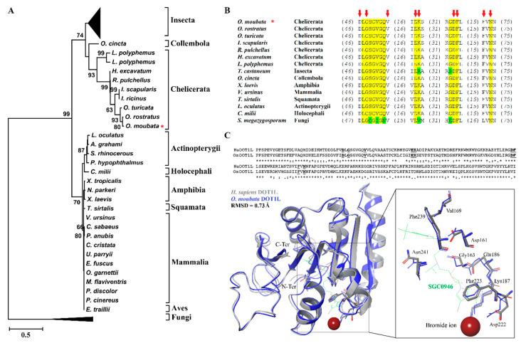 https://cdn.ncbi.nlm.nih.gov/pmc/blobs/72d4/7349889/40173d1a31e9/vaccines-08-00157-g001.jpg