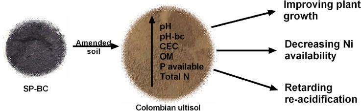 https://cdn.ncbi.nlm.nih.gov/pmc/blobs/72d7/9424946/79616bf90c01/ga1.jpg