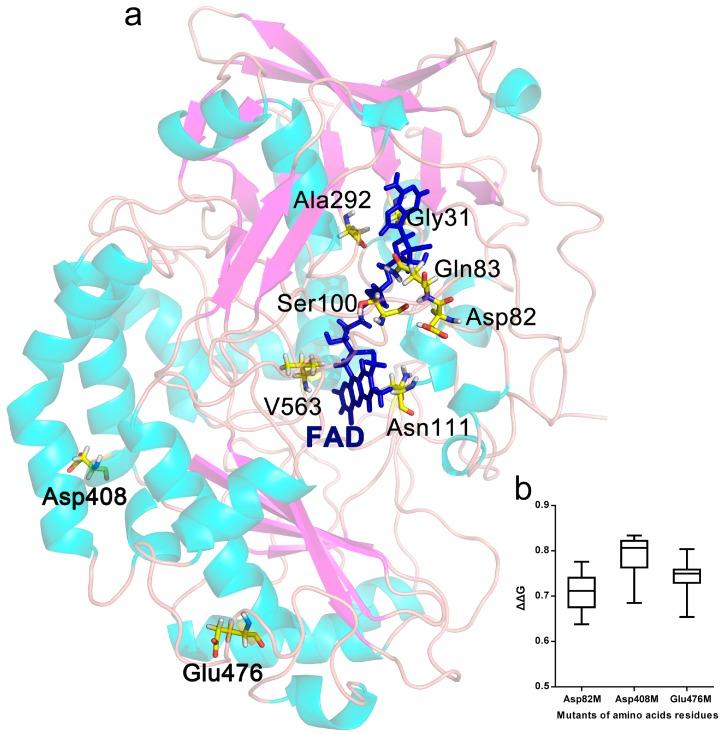 https://cdn.ncbi.nlm.nih.gov/pmc/blobs/72d8/5855647/175df383dbfd/ijms-19-00425-g001.jpg