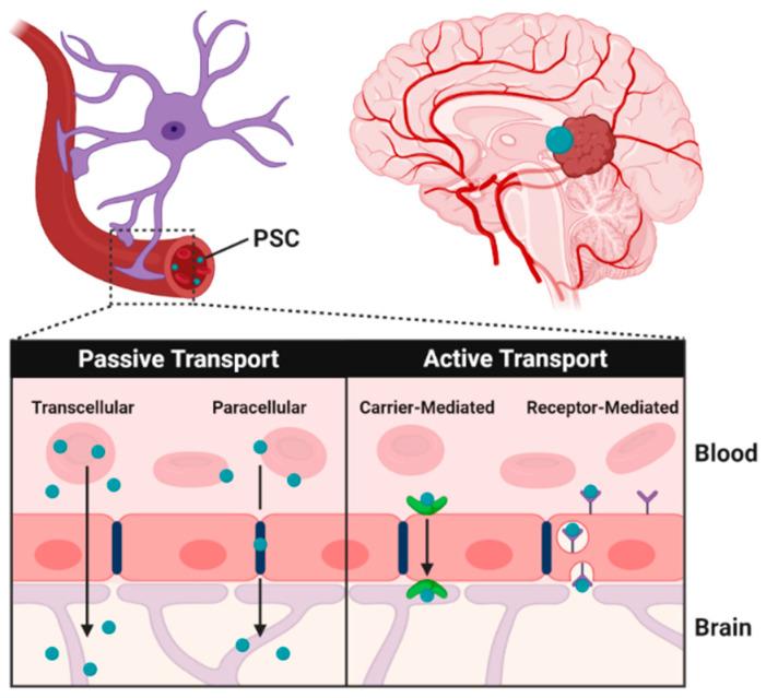 https://cdn.ncbi.nlm.nih.gov/pmc/blobs/72d8/7762150/443a955276aa/pharmaceutics-12-01183-g002.jpg
