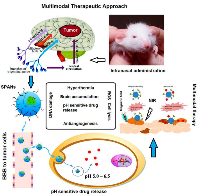 https://cdn.ncbi.nlm.nih.gov/pmc/blobs/72d8/7762150/6d07c4c73423/pharmaceutics-12-01183-g006.jpg