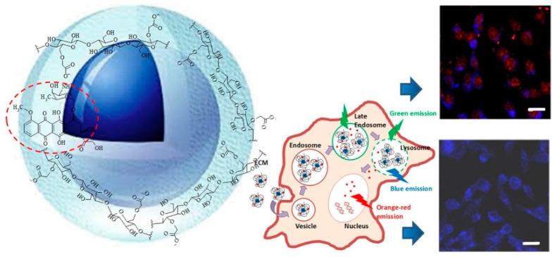 https://cdn.ncbi.nlm.nih.gov/pmc/blobs/72d8/7762150/e15b6ea9c5cd/pharmaceutics-12-01183-g003.jpg
