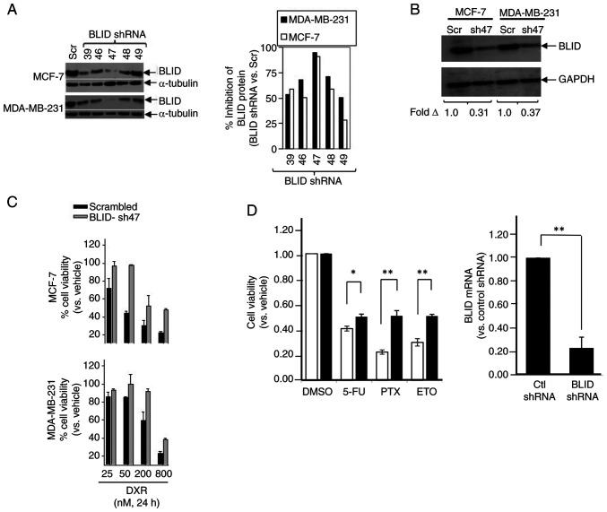 https://cdn.ncbi.nlm.nih.gov/pmc/blobs/72da/12217432/5aaf59a2244c/ol-30-03-15155-g02.jpg