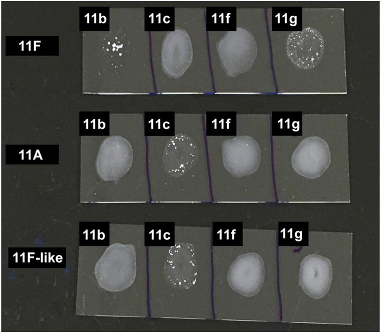 https://cdn.ncbi.nlm.nih.gov/pmc/blobs/72da/5869949/2326f21ce505/gr4.jpg