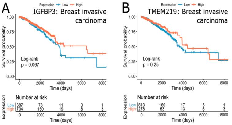 https://cdn.ncbi.nlm.nih.gov/pmc/blobs/72da/7290346/85305a3ce9ec/cells-09-01261-g008.jpg